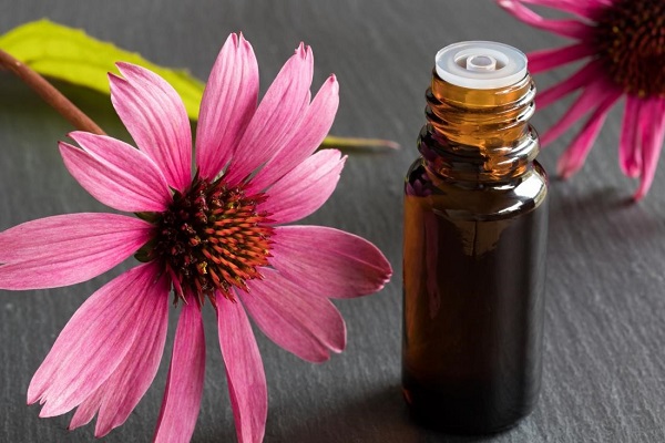 بهترین آنتی بیوتیک برای سرماخوردگی