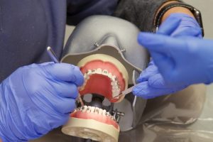دوره دستیار دندانپزشک Dentist Assistant