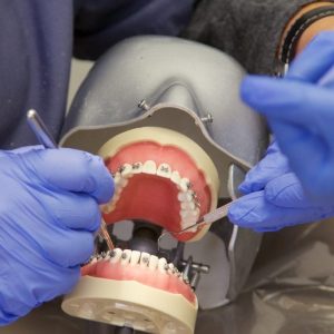 دوره دستیار دندانپزشک Dentist Assistant