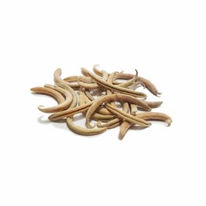 گیاه ناخنک چیست و چه کاربردی دارد؟