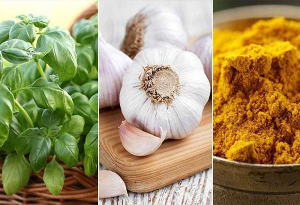عوامل مؤثر بر افزایش قند خون چیست؟
